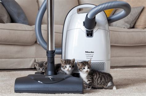 Nagic Bag Vacuum vs Traditional Bagless Vacuums: Which is Better?